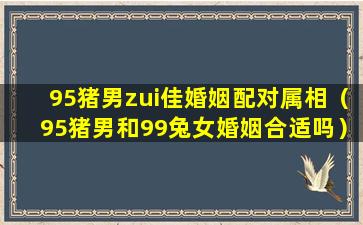 95猪男zui佳婚姻配对属相（95猪男和99兔女婚姻合适吗）