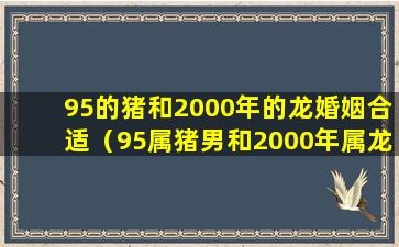 95的猪和2000年的龙婚姻合适（95属猪男和2000年属龙女可以结婚吗）