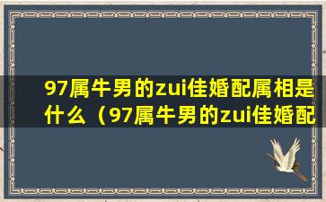 97属牛男的zui佳婚配属相是什么（97属牛男的zui佳婚配属相是什么意思）