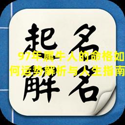 97年属牛人的命格如何运势解析与人生指南