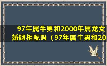 97年属牛男和2000年属龙女婚姻相配吗（97年属牛男和2000年属龙女婚姻相配吗对吗）