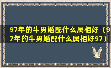 97年的牛男婚配什么属相好（97年的牛男婚配什么属相好97）