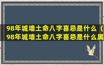 98年城墙土命八字喜忌是什么（98年城墙土命八字喜忌是什么属相）