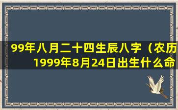 99年八月二十四生辰八字（农历1999年8月24日出生什么命）