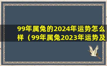 99年属兔的2024年运势怎么样（99年属兔2023年运势及运程每月运程）