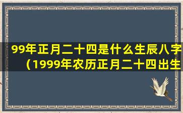 99年正月二十四是什么生辰八字（1999年农历正月二十四出生的是什么命）