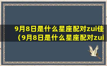 9月8日是什么星座配对zui佳（9月8日是什么星座配对zui佳对象）