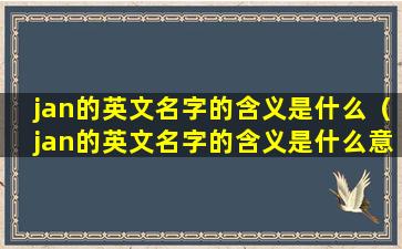 jan的英文名字的含义是什么（jan的英文名字的含义是什么意思）