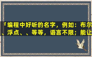 「编程中好听的名字，例如：布尔、浮点、、等等，语言不限；能让人di一眼看出和软件有关」