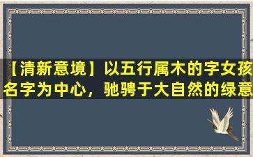 【清新意境】以五行属木的字女孩名字为中心，驰骋于大自然的绿意盎然！