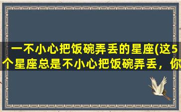 一不小心把饭碗弄丢的星座(这5个星座总是不小心把饭碗弄丢，你是其中之一吗？)