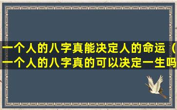 一个人的八字真能决定人的命运（一个人的八字真的可以决定一生吗）