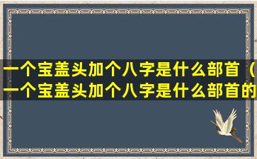 一个宝盖头加个八字是什么部首（一个宝盖头加个八字是什么部首的字）