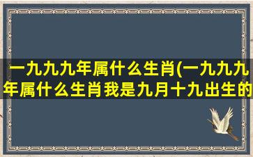 一九九九年属什么生肖(一九九九年属什么生肖我是九月十九出生的晚上十点)