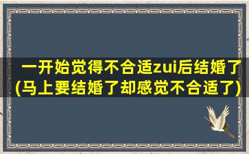 一开始觉得不合适zui后结婚了(马上要结婚了却感觉不合适了)