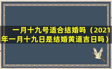 一月十九号适合结婚吗（2021年一月十九日是结婚黄道吉日吗）