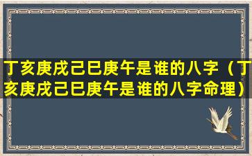 丁亥庚戌己巳庚午是谁的八字（丁亥庚戌己巳庚午是谁的八字命理）