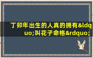 丁卯年出生的人真的拥有“叫花子命格”吗