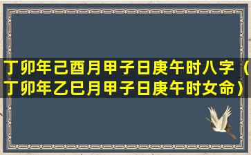 丁卯年己酉月甲子日庚午时八字（丁卯年乙巳月甲子日庚午时女命）