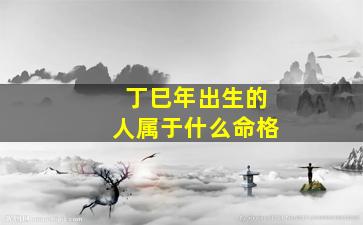 丁巳年出生的人属于什么命格