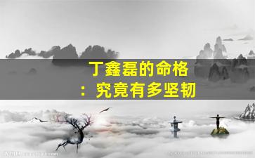 丁鑫磊的命格：究竟有多坚韧