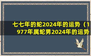 七七年的蛇2024年的运势（1977年属蛇男2024年的运势和婚姻）