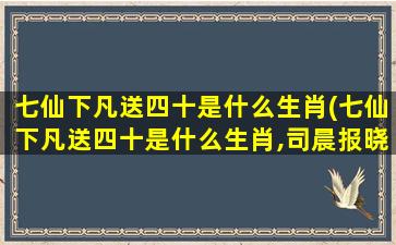 七仙下凡送四十是什么生肖(七仙下凡送四十是什么生肖,司晨报晓勤不懈)