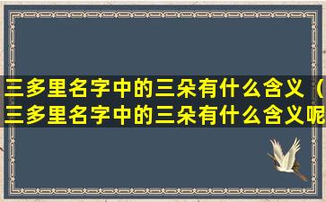 三多里名字中的三朵有什么含义（三多里名字中的三朵有什么含义呢）