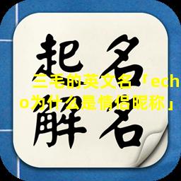 三毛的英文名「echo为什么是情侣昵称」