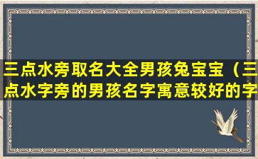 三点水旁取名大全男孩兔宝宝（三点水字旁的男孩名字寓意较好的字）