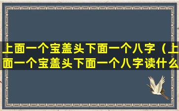 上面一个宝盖头下面一个八字（上面一个宝盖头下面一个八字读什么字）