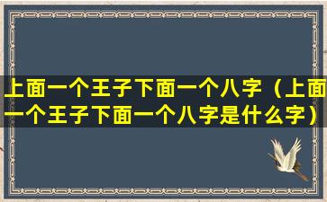 上面一个王子下面一个八字（上面一个王子下面一个八字是什么字）