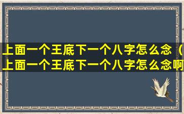 上面一个王底下一个八字怎么念（上面一个王底下一个八字怎么念啊）