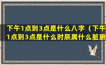 下午1点到3点是什么八字（下午1点到3点是什么时辰属什么脏腑）