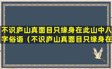 不识庐山真面目只缘身在此山中八字俗语（不识庐山真面目只缘身在此山中隐*什么的关系）