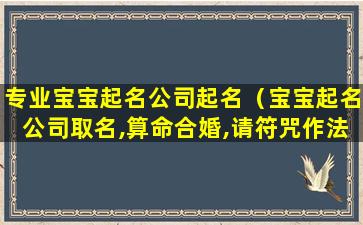 专业宝宝起名公司起名（宝宝起名公司取名,算命合婚,请符咒作法事,看风水）