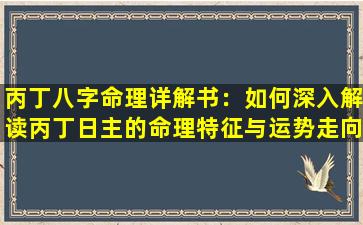 丙丁八字命理详解书：如何深入解读丙丁日主的命理特征与运势走向