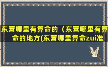 东营哪里有算命的（东营哪里有算命的地方(东营哪里算命zui准)）