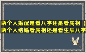 两个人婚配是看八字还是看属相（两个人结婚看属相还是看生辰八字好）