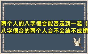 两个人的八字很合能否走到一起（八字很合的两个人会不会结不成婚）