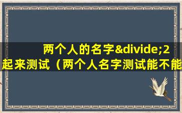 两个人的名字÷2起来测试（两个人名字测试能不能在一起）