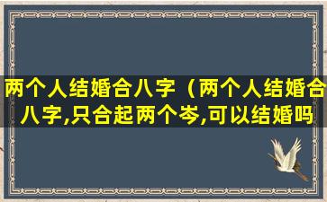 两个人结婚合八字（两个人结婚合八字,只合起两个岑,可以结婚吗）