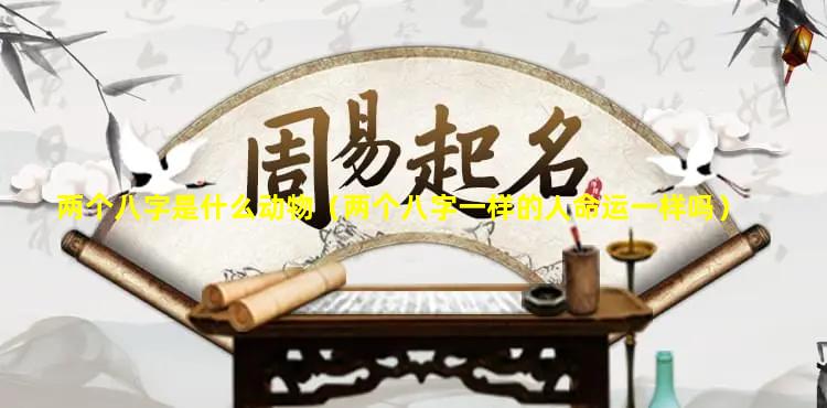 两个八字是什么动物（两个八字一样的人命运一样吗）