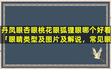 丹凤眼杏眼桃花眼狐狸眼哪个好看「眼睛类型及图片及解说，常见眼型」