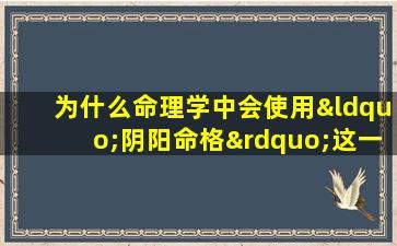 为什么命理学中会使用“阴阳命格”这一概念