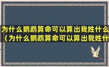 为什么鹦鹉算命可以算出我姓什么（为什么鹦鹉算命可以算出我姓什么呢）