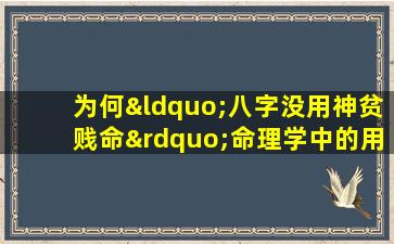 为何“八字没用神贫贱命”命理学中的用神缺失与命运解析