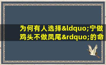 为何有人选择“宁做鸡头不做凤尾”的命格