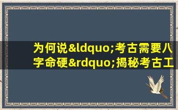 为何说“考古需要八字命硬”揭秘考古工作的艰辛与挑战