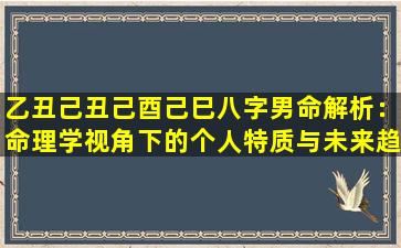 乙丑己丑己酉己巳八字男命解析：命理学视角下的个人特质与未来趋势